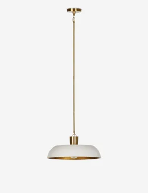 Robinson Pendant Light Lulu and Georgia