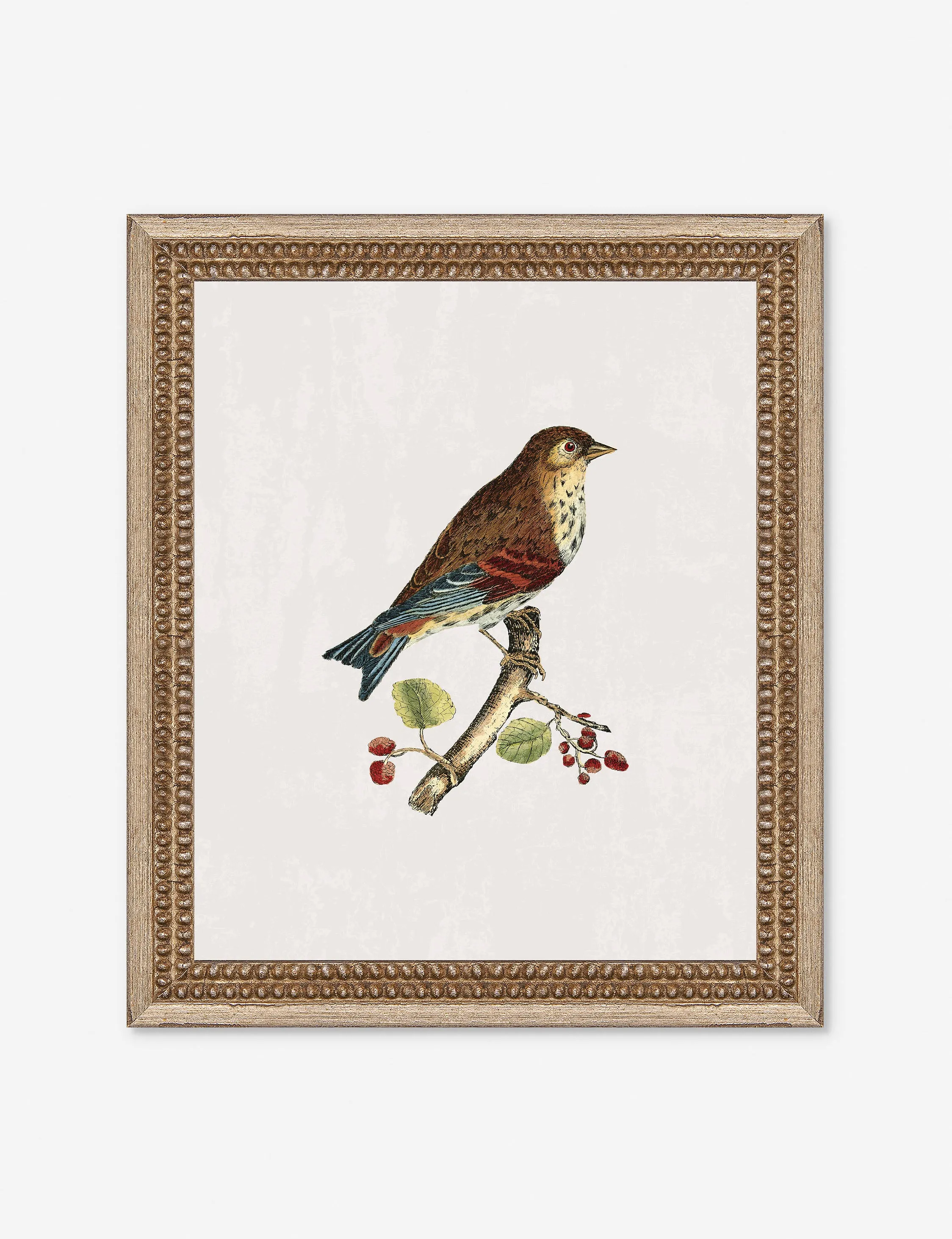 Small Birds I Wall Art by Old World Lulu and Georgia