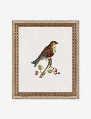 Small Birds I Wall Art by Old World Lulu and Georgia