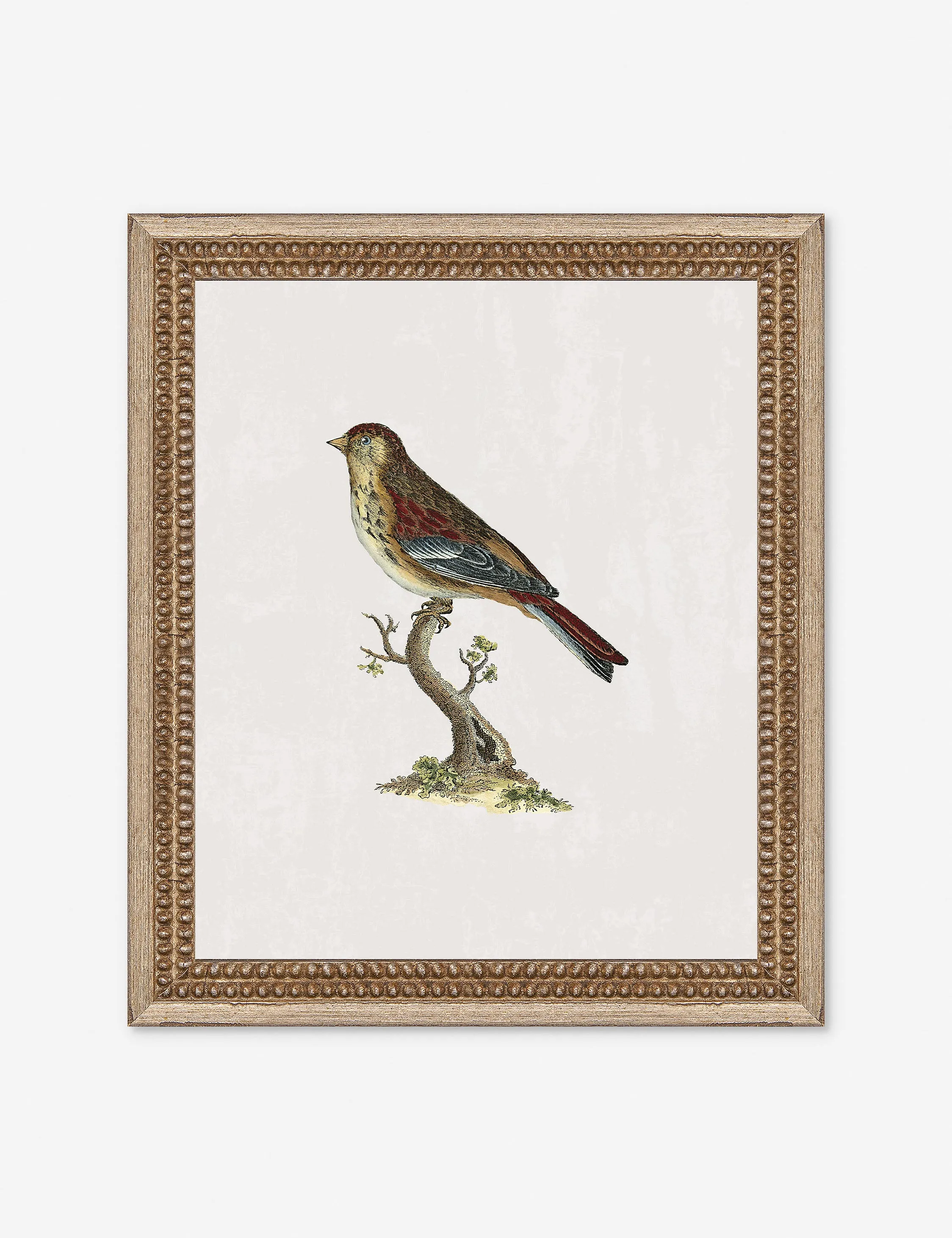 Small Birds II Wall Art by Old World Lulu and Georgia