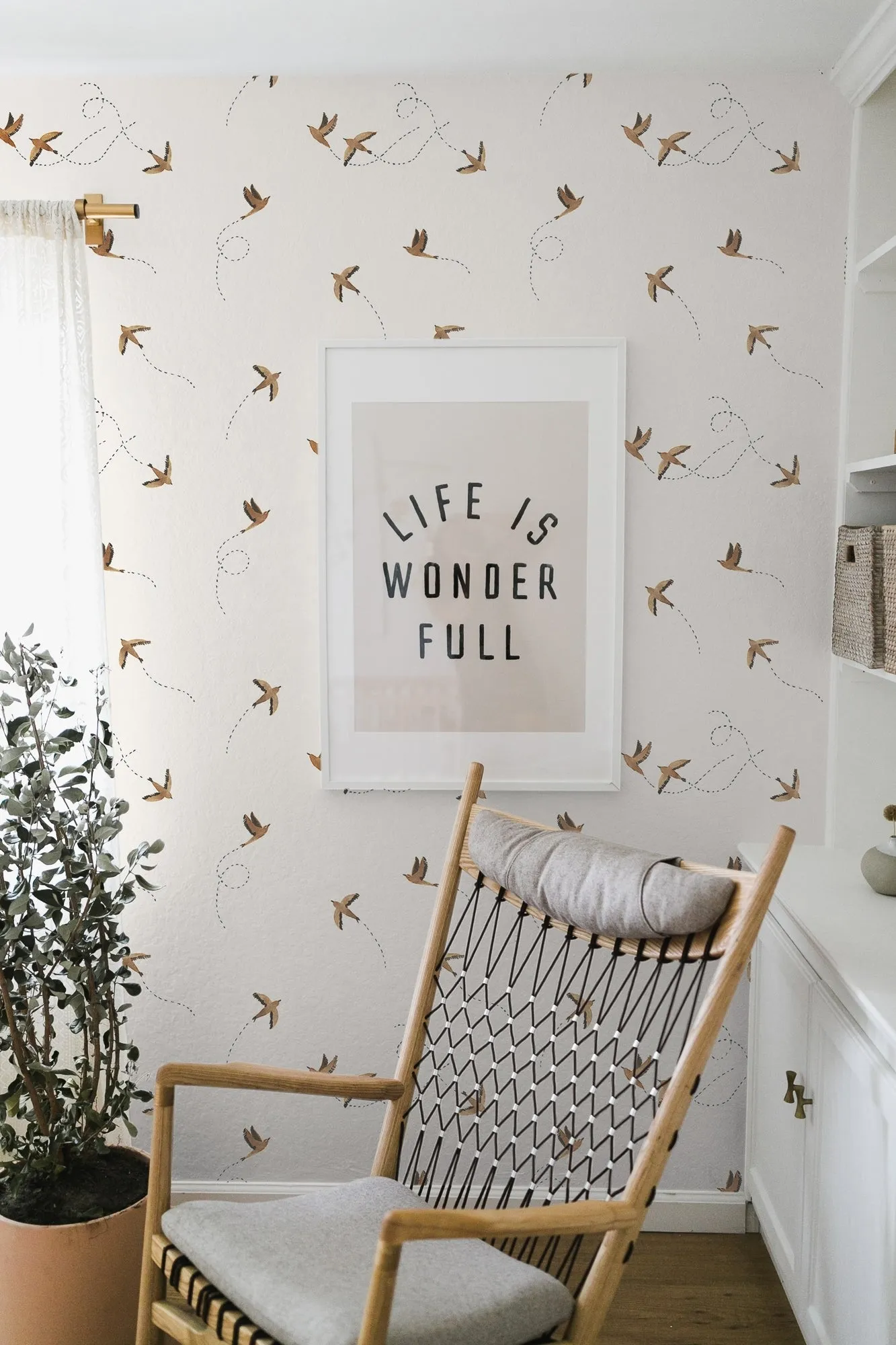 Sparrow Wallpaper by Rylee   Cru Lulu and Georgia