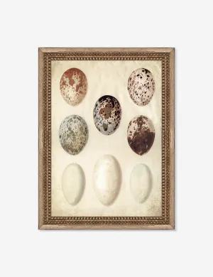 Speckled Egg I Wall Art by Helen Parker Lulu and Georgia
