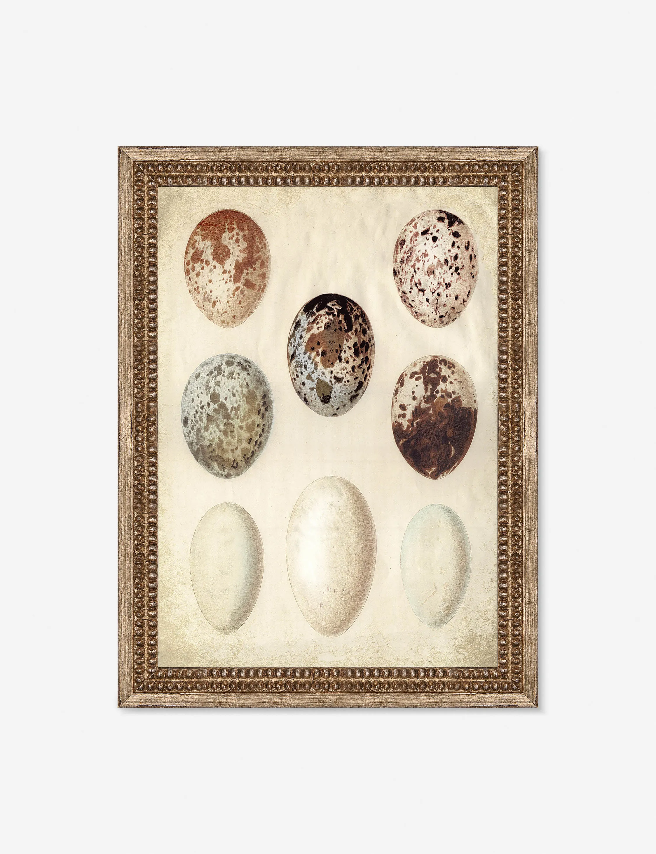 Speckled Egg I Wall Art by Helen Parker Lulu and Georgia