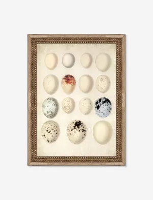 Speckled Egg II Wall Art by Helen Parker Lulu and Georgia
