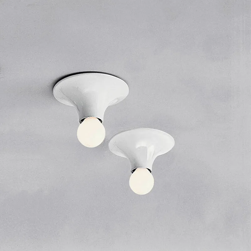 Teti Wall / Ceiling Light