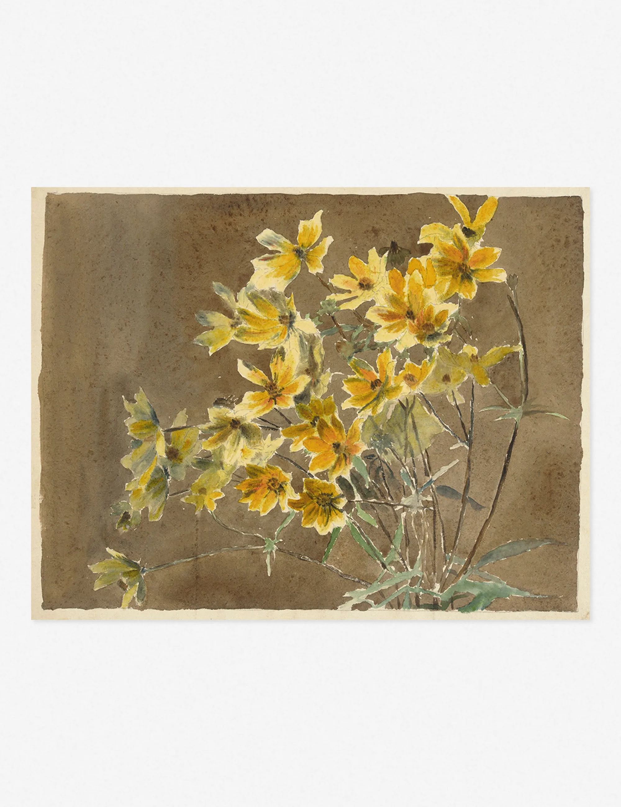 Yellow/Orange Flower with Border Print by Hannah Borger Overbeck Lulu and Georgia